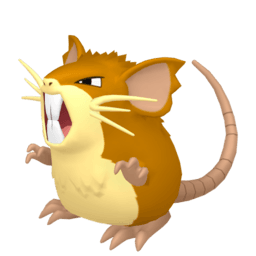 Raticate