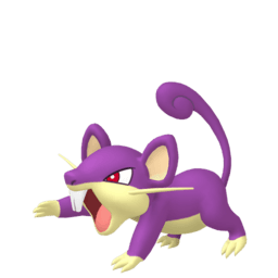 Rattata